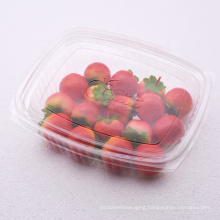 Wholesale disposable clear plastic fruit container with lid